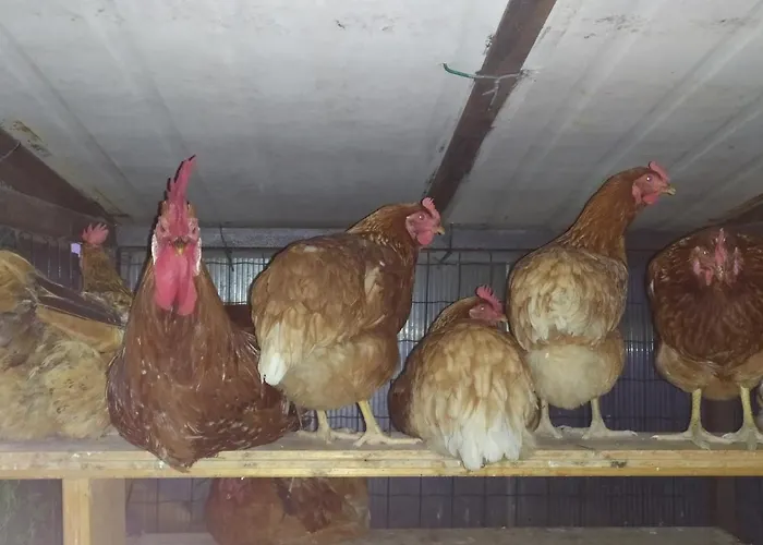 לינה וארוחת בוקר La Brezza Castelnovo di Sotto