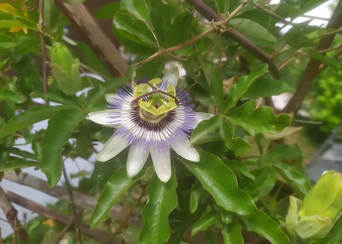 La Brezza ベッド・アンド・ブレックファスト