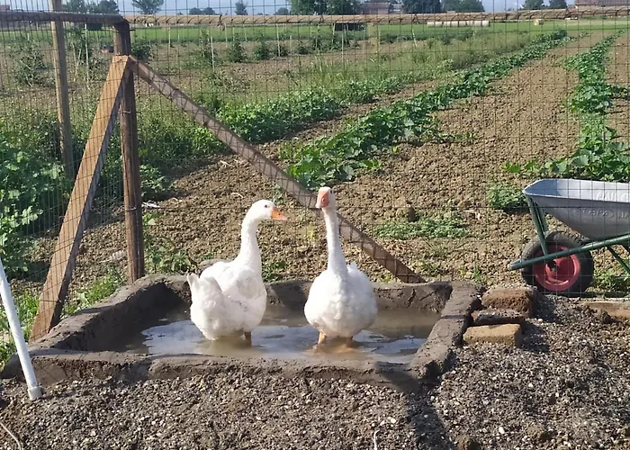 La Brezza Castelnovo di Sotto