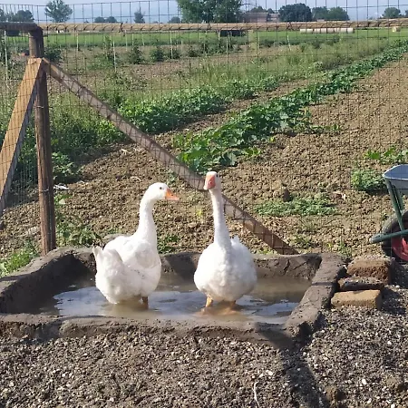 La Brezza Castelnovo di Sotto