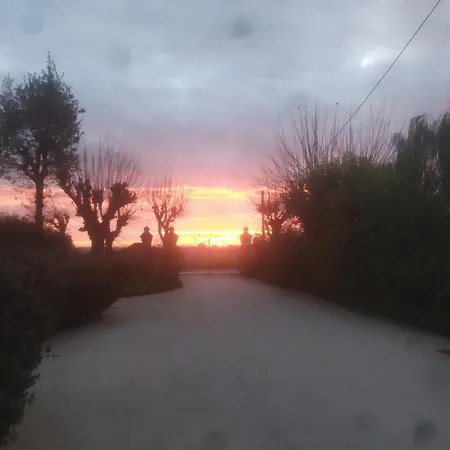La Brezza 3* Castelnovo di Sotto