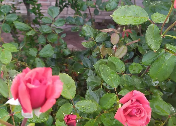 La Brezza Bed & Breakfast